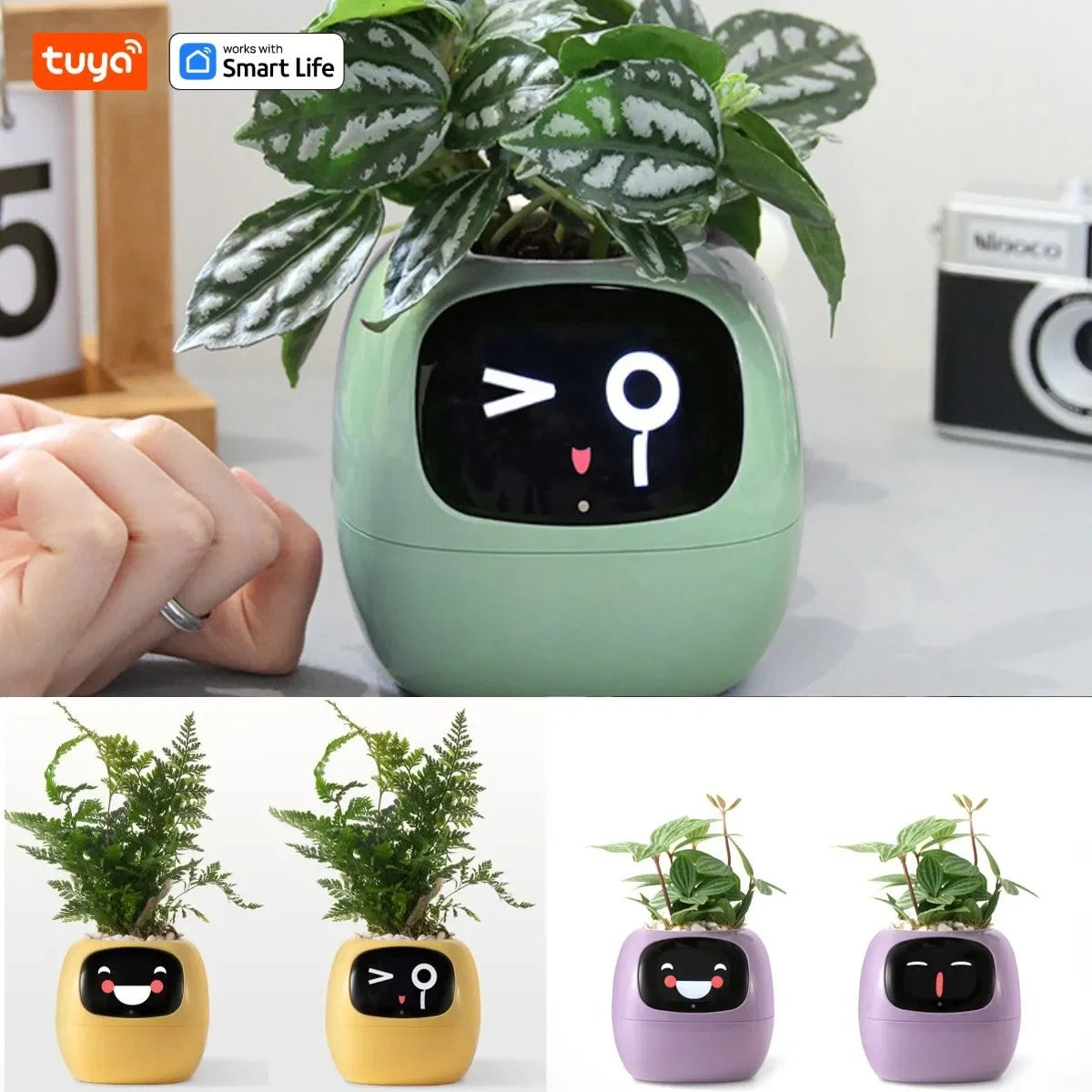 Life Smart Planter