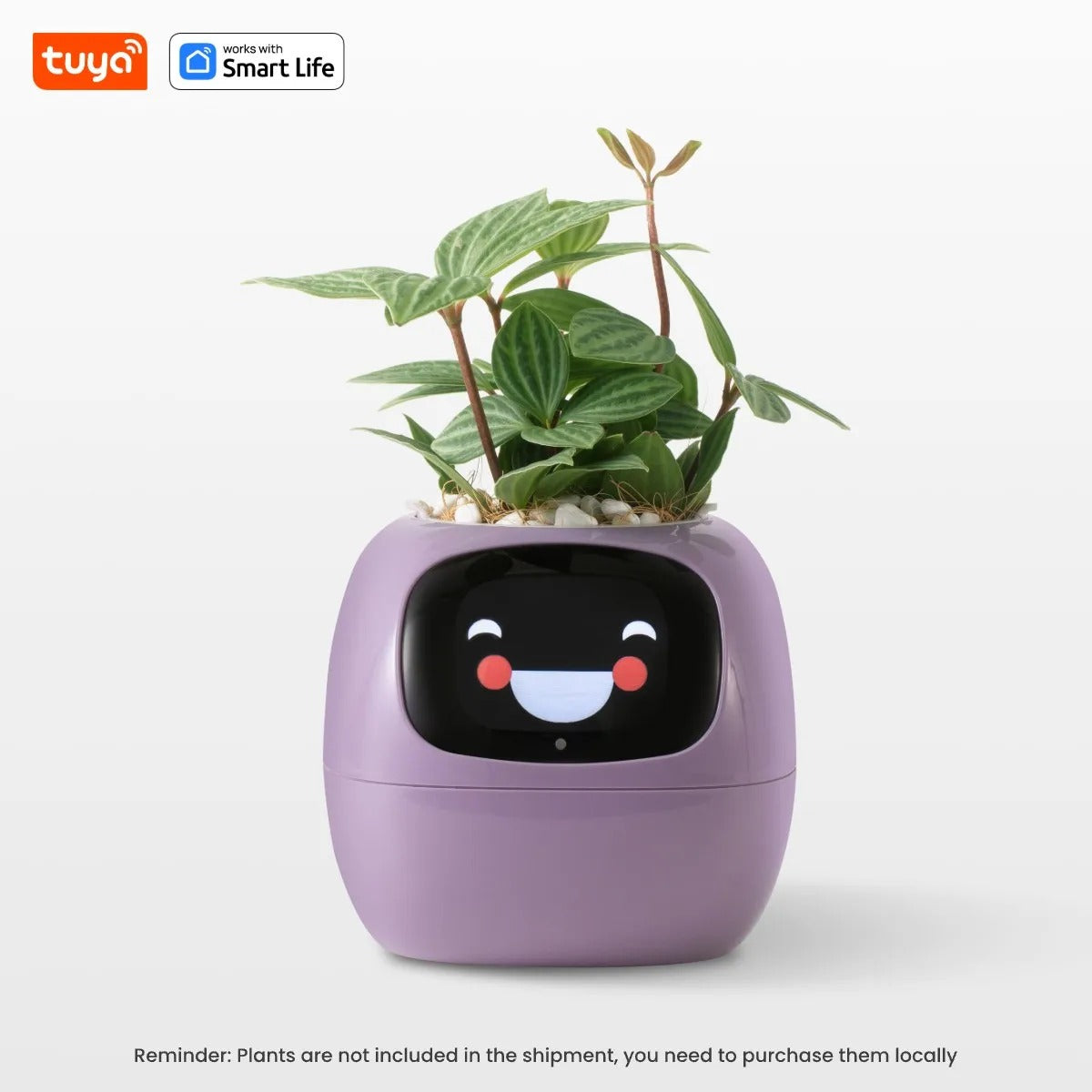 Life Smart Planter