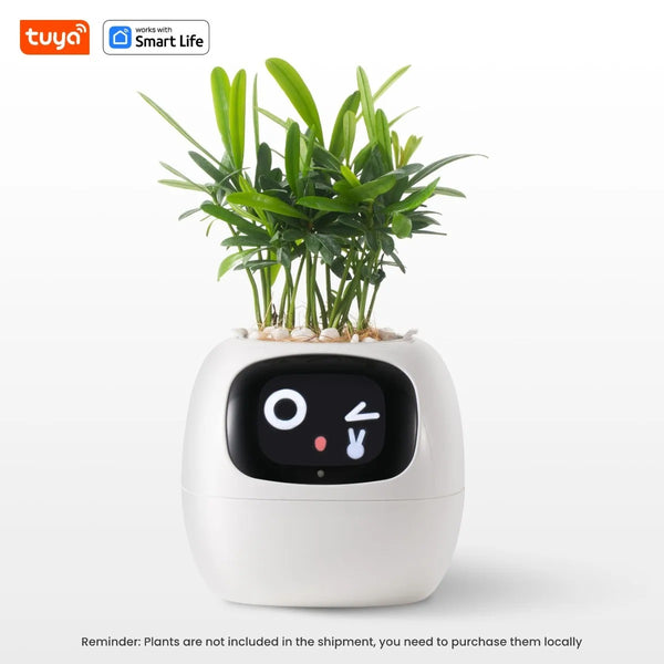 Life Smart Planter