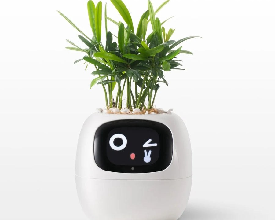 Life Smart Planter