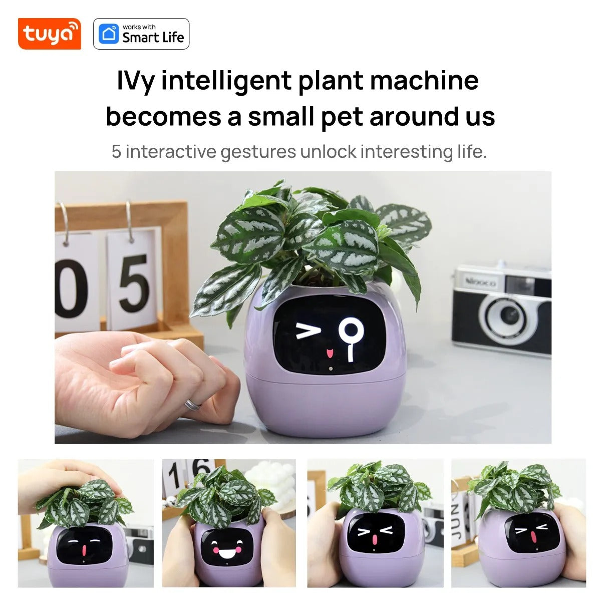 Life Smart Planter