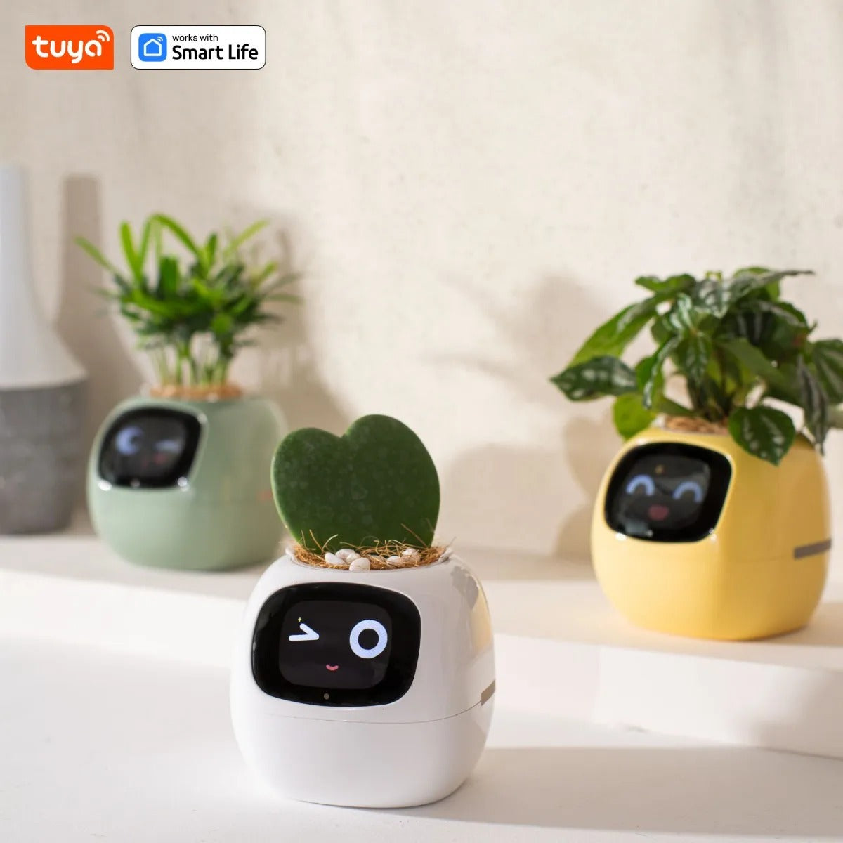 Life Smart Planter