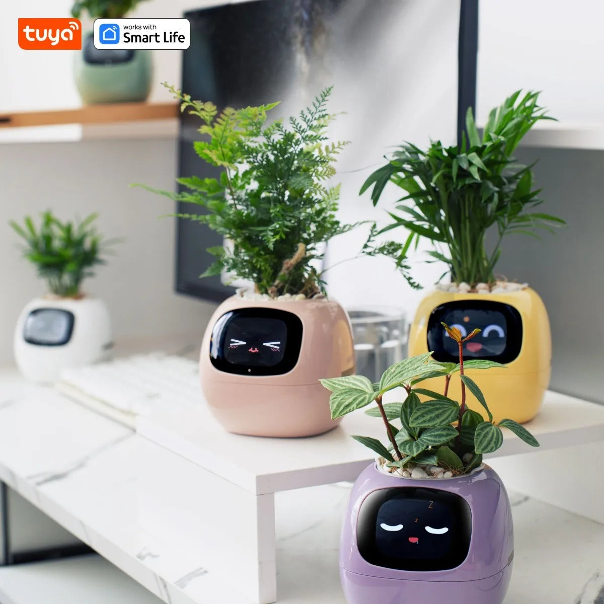 Life Smart Planter