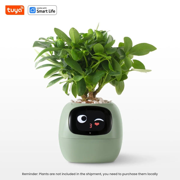 Life Smart Planter